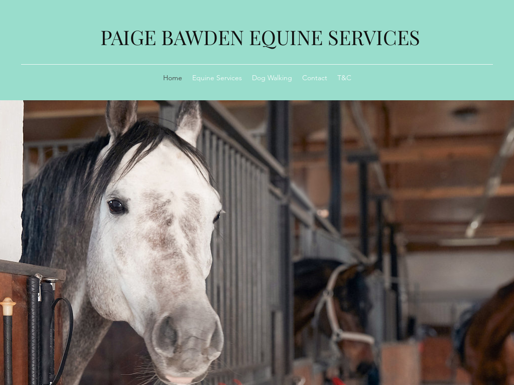 Paige Bawden Equine Services