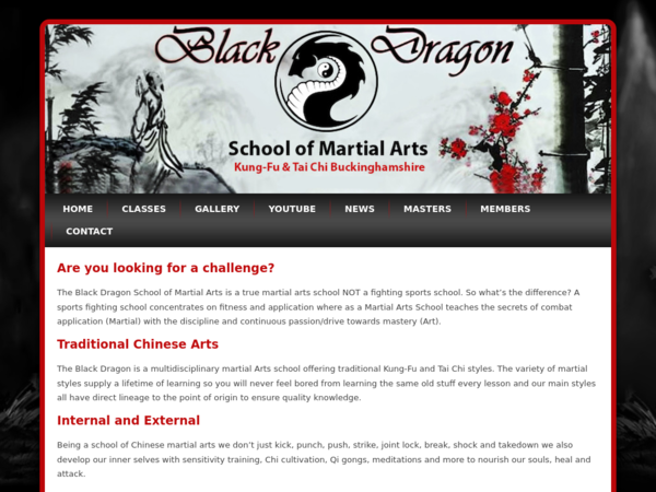 Black Dragon School of Martial Arts