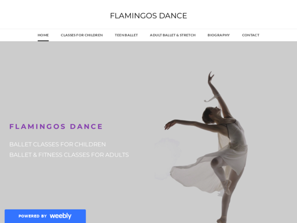 Flamingos Dance