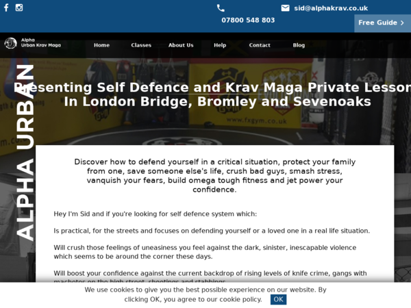 Krav Maga and Self Defence Personal Training In London Bridge