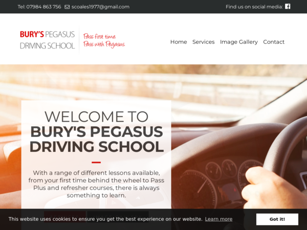 Pegasus Driving School