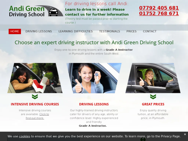 Andi Green Driving School