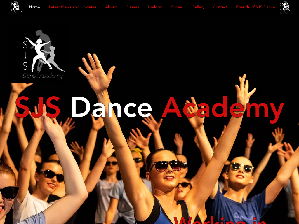 S J S Dance Academy