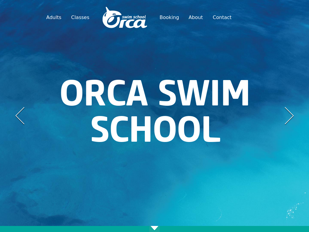 Orca Swim School